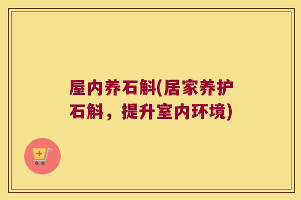 屋内养石斛(居家养护石斛，提升室内环境)