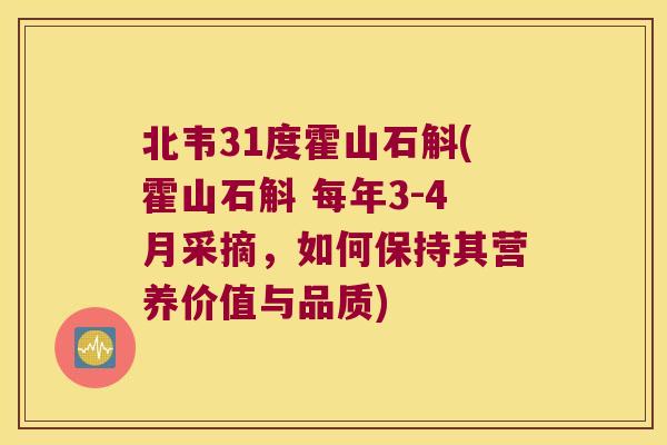 北韦31度霍山石斛(霍山石斛 每年3-4月采摘,如何保持其营养价值与品质) 北韦31度霍山石斛(霍山石斛 每年3-4月采摘,如何保持其营养价值与品质)