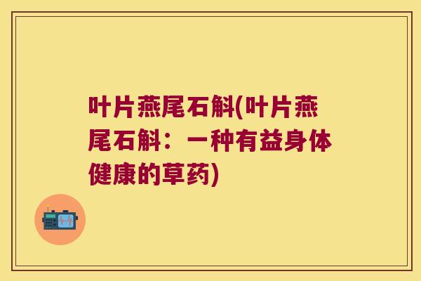 叶片燕尾石斛(叶片燕尾石斛：一种有益身体健康的草药)