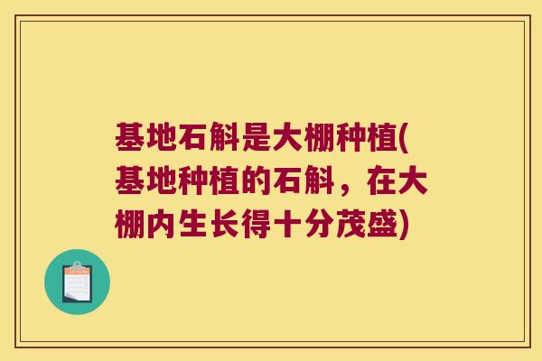 基地石斛是大棚种植(基地种植的石斛，在大棚内生长得十分茂盛)