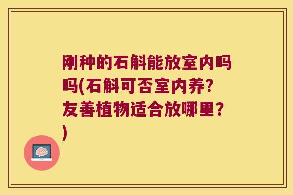 刚种的石斛能放室内吗吗(石斛可否室内养？友善植物适合放哪里？)