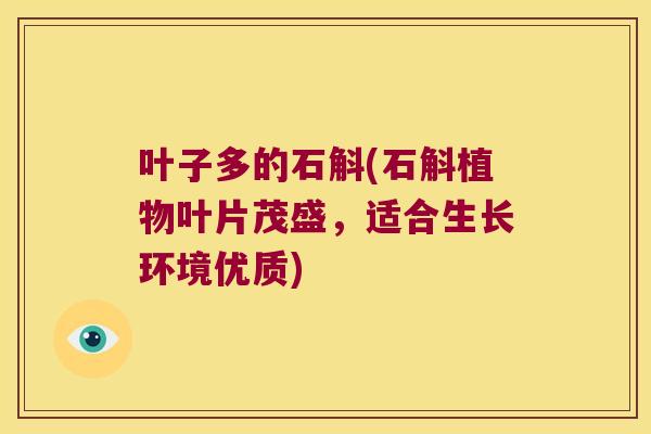叶子多的石斛(石斛植物叶片茂盛，适合生长环境优质)
