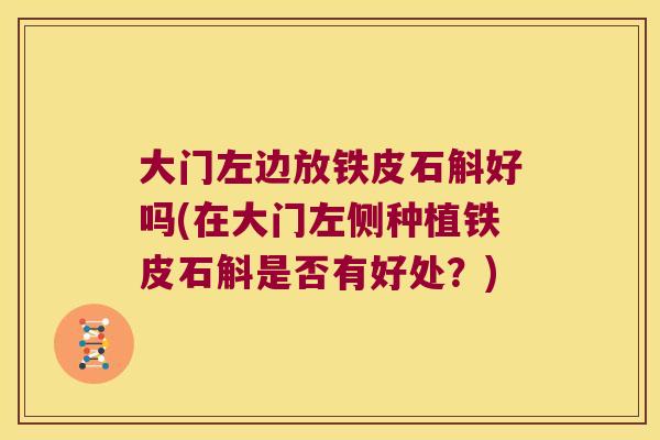 大门左边放铁皮石斛好吗(在大门左侧种植铁皮石斛是否有好处？)