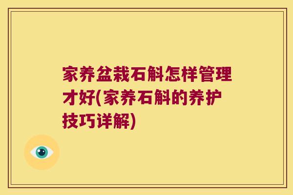 家养盆栽石斛怎样管理才好(家养石斛的养护技巧详解)