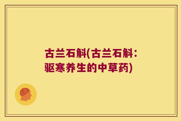 古兰石斛(古兰石斛:驱寒养生的中草药) 古兰石斛(古兰石斛:驱寒养生的中草药)