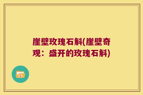 崖壁玫瑰石斛(崖壁奇观：盛开的玫瑰石斛)