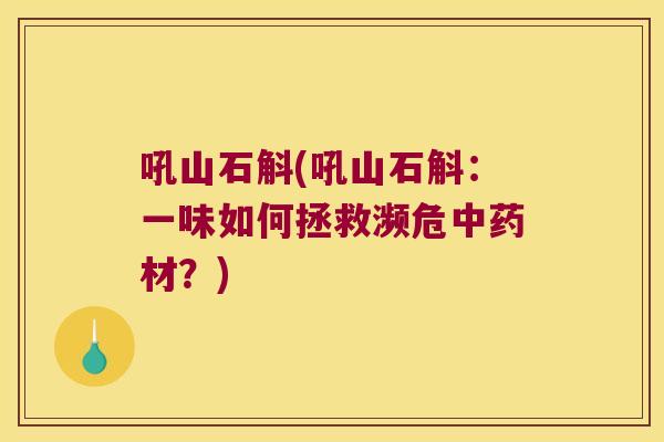 吼山石斛(吼山石斛：一味如何拯救濒危中药材？)