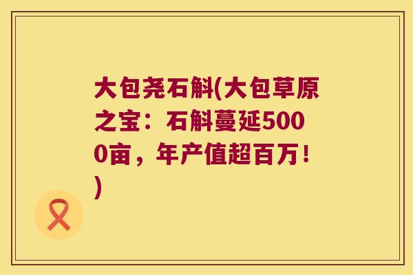 大包尧石斛(大包草原之宝：石斛蔓延5000亩，年产值超百万！)