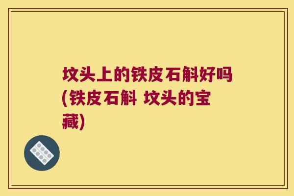 坟头上的铁皮石斛好吗(铁皮石斛 坟头的宝藏)