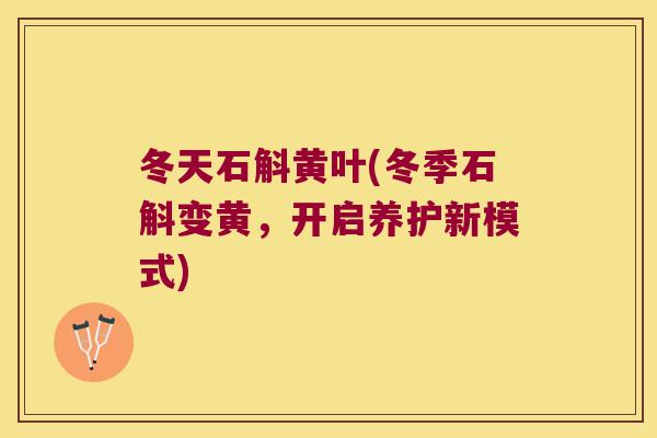 冬天石斛黄叶(冬季石斛变黄，开启养护新模式)