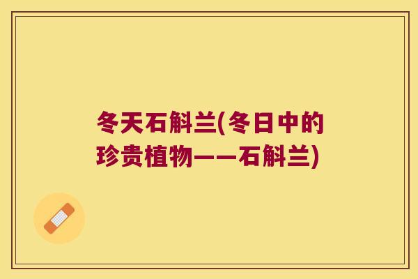 冬天石斛兰(冬日中的珍贵植物——石斛兰) 冬天石斛兰(冬日中的珍贵植物——石斛兰)