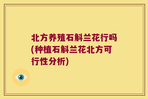 北方养殖石斛兰花行吗(种植石斛兰花北方可行性分析)