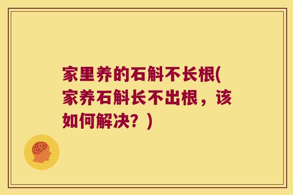 家里养的石斛不长根(家养石斛长不出根，该如何解决？)