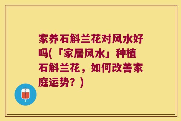 家养石斛兰花对风水好吗(「家居风水」种植石斛兰花，如何改善家庭运势？)