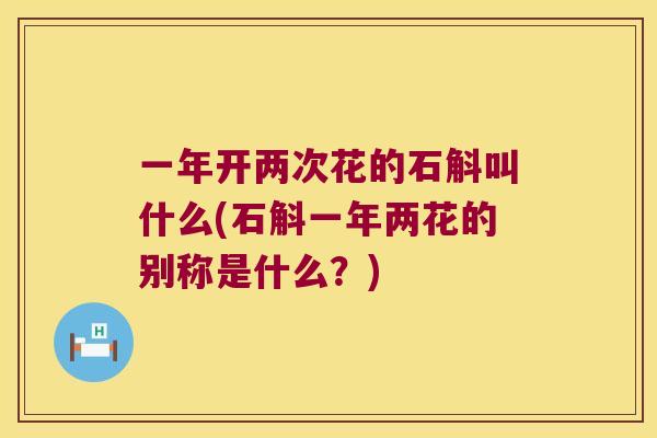 一年开两次花的石斛叫什么(石斛一年两花的别称是什么？)