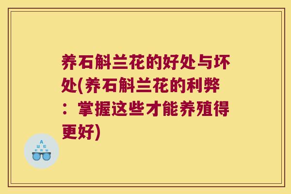 养石斛兰花的好处与坏处(养石斛兰花的利弊：掌握这些才能养殖得更好)