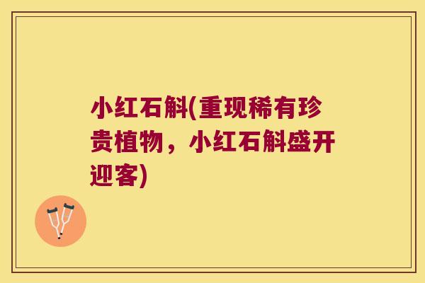 小红石斛(重现稀有珍贵植物，小红石斛盛开迎客)