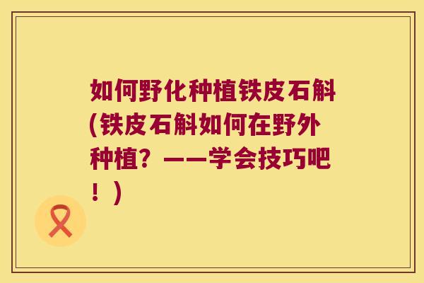 如何野化种植铁皮石斛(铁皮石斛如何在野外种植？——学会技巧吧！)