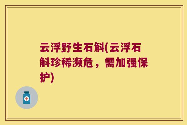 云浮野生石斛(云浮石斛珍稀濒危，需加强保护)