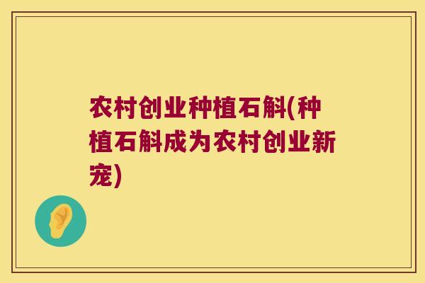 农村创业种植石斛(种植石斛成为农村创业新宠)