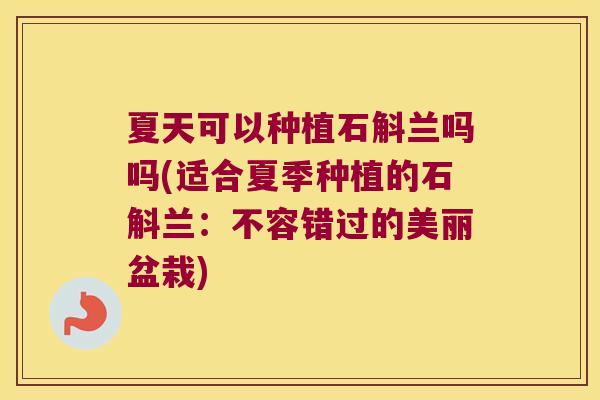 夏天可以种植石斛兰吗吗(适合夏季种植的石斛兰：不容错过的美丽盆栽)
