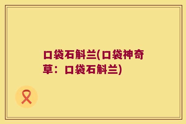 口袋石斛兰(口袋神奇草：口袋石斛兰)