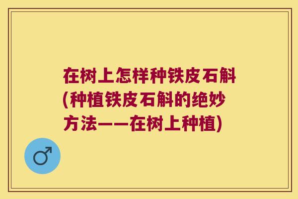 在树上怎样种铁皮石斛(种植铁皮石斛的绝妙方法——在树上种植)