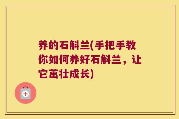 养的石斛兰(手把手教你如何养好石斛兰，让它茁壮成长)
