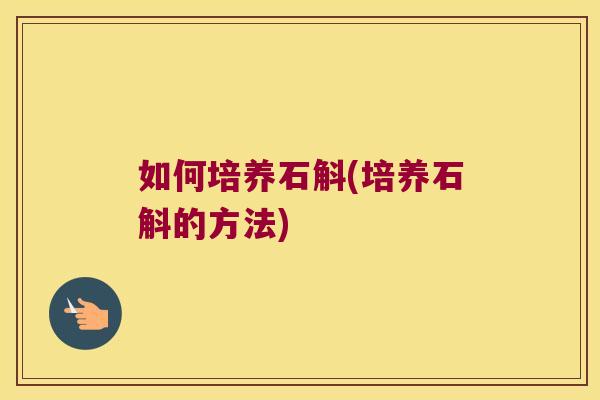 如何培养石斛(培养石斛的方法)