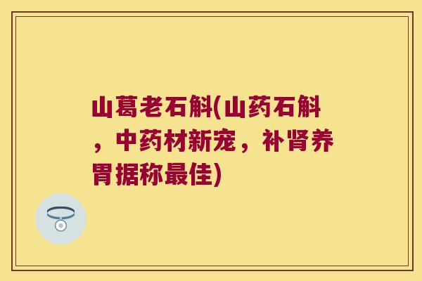 山葛老石斛(山药石斛,材新宠,补养胃据称佳) 山葛老石斛(山药石斛,材新宠,补养胃据称佳)