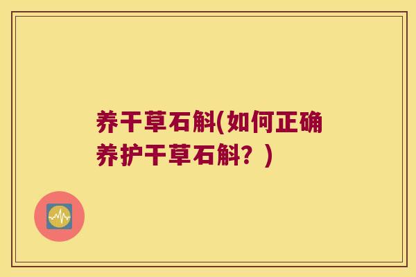 养干草石斛(如何正确养护干草石斛？)