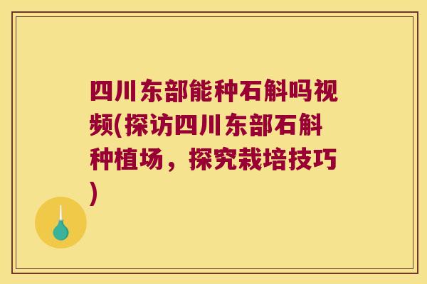 四川东部能种石斛吗视频(探访四川东部石斛种植场，探究栽培技巧)