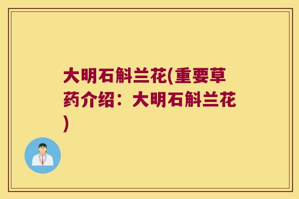 大明石斛兰花(重要草药介绍：大明石斛兰花)