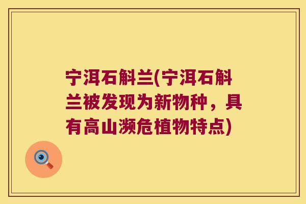 宁洱石斛兰(宁洱石斛兰被发现为新物种,具有高山濒危植物特点) 宁洱石斛兰(宁洱石斛兰被发现为新物种,具有高山濒危植物特点)