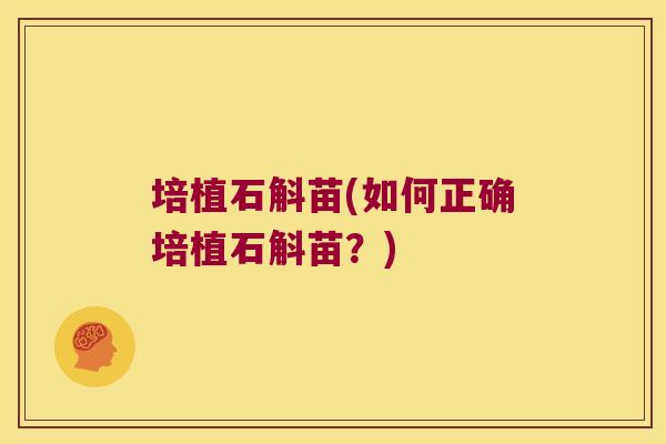 培植石斛苗(如何正确培植石斛苗？)
