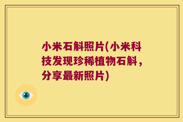 小米石斛照片(小米科技发现珍稀植物石斛，分享最新照片)