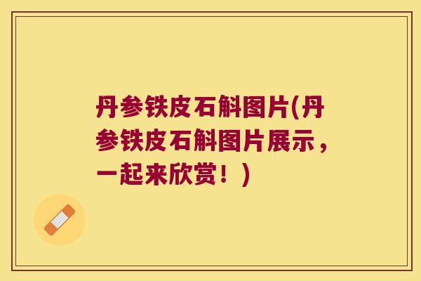 丹参铁皮石斛图片(丹参铁皮石斛图片展示，一起来欣赏！)