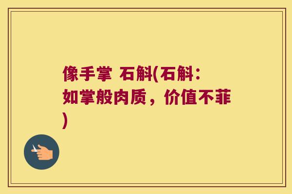 像手掌 石斛(石斛：如掌般肉质，价值不菲)