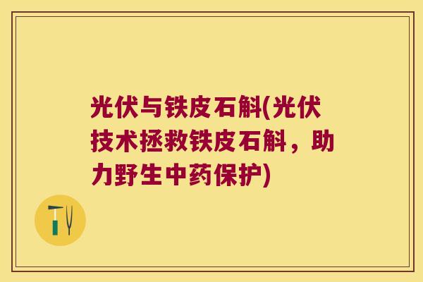 光伏与铁皮石斛(光伏技术拯救铁皮石斛，助力野生中药保护)