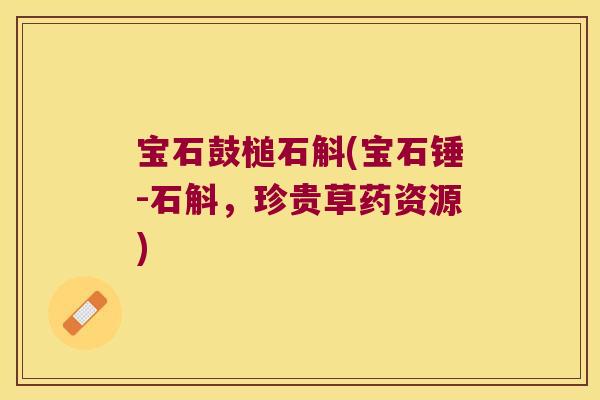 宝石鼓槌石斛(宝石锤-石斛,珍贵草药资源) 宝石鼓槌石斛(宝石锤-石斛,珍贵草药资源)