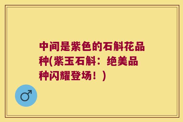 中间是紫色的石斛花品种(紫玉石斛：绝美品种闪耀登场！)
