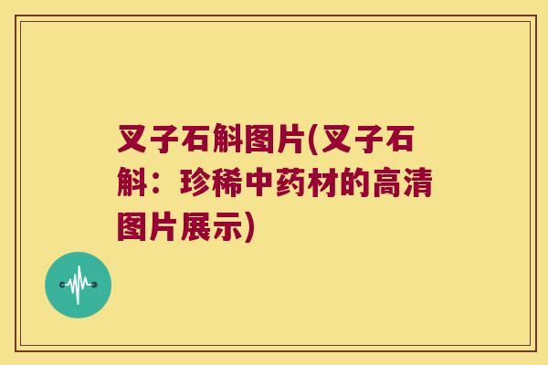 叉子石斛图片(叉子石斛：珍稀中药材的高清图片展示)