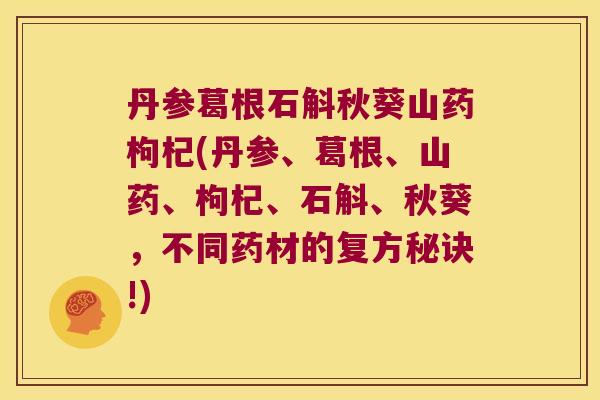 丹参葛根石斛秋葵山药枸杞(丹参、葛根、山药、枸杞、石斛、秋葵，不同药材的复方秘诀!)