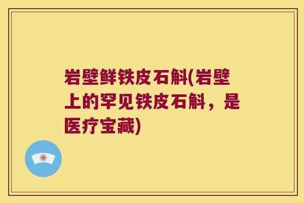 岩壁鲜铁皮石斛(岩壁上的罕见铁皮石斛，是医疗宝藏)