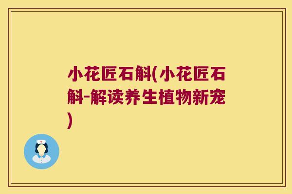 小花匠石斛(小花匠石斛-解读养生植物新宠)