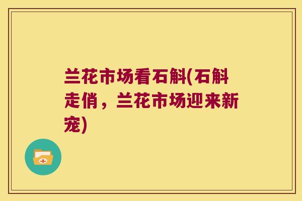 兰花市场看石斛(石斛走俏，兰花市场迎来新宠)