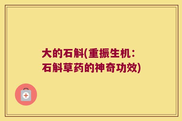 大的石斛(重振生机：石斛草药的神奇功效)