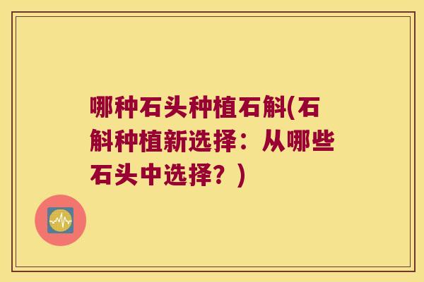 哪种石头种植石斛(石斛种植新选择：从哪些石头中选择？)