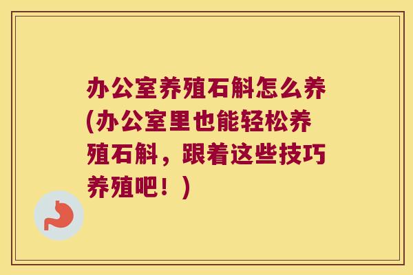 办公室养殖石斛怎么养(办公室里也能轻松养殖石斛,跟着这些技巧养殖吧!) 办公室养殖石斛怎么养(办公室里也能轻松养殖石斛,跟着这些技巧养殖吧!)