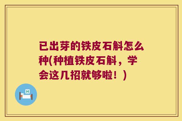 已出芽的铁皮石斛怎么种(种植铁皮石斛，学会这几招就够啦！)